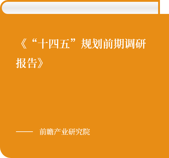 《“十四五”规划前期调研报告》