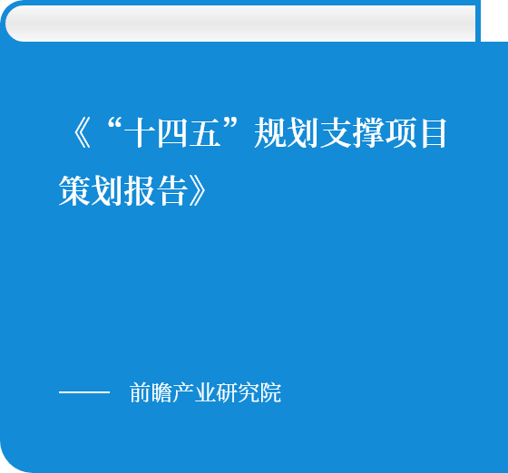 《“十四五”规划支撑项目策划报告》