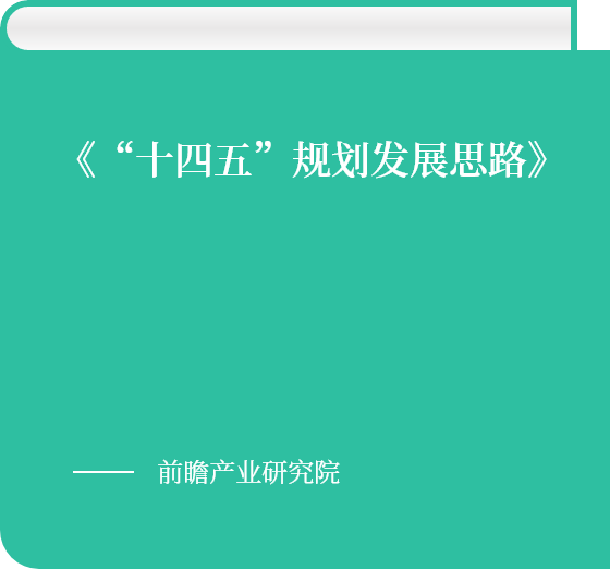 《“十四五”规划发展思路》